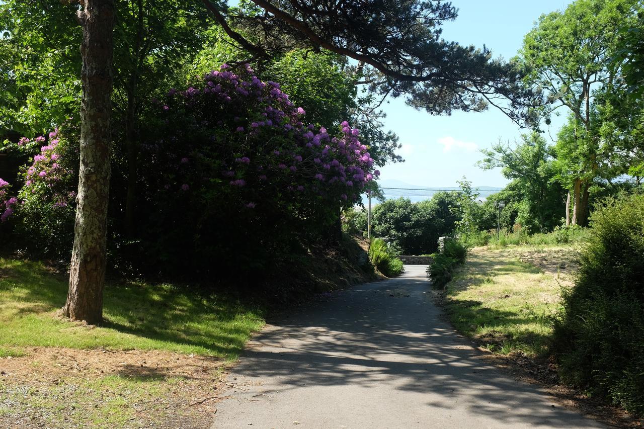 Crown Lodge Harlech Εξωτερικό φωτογραφία
