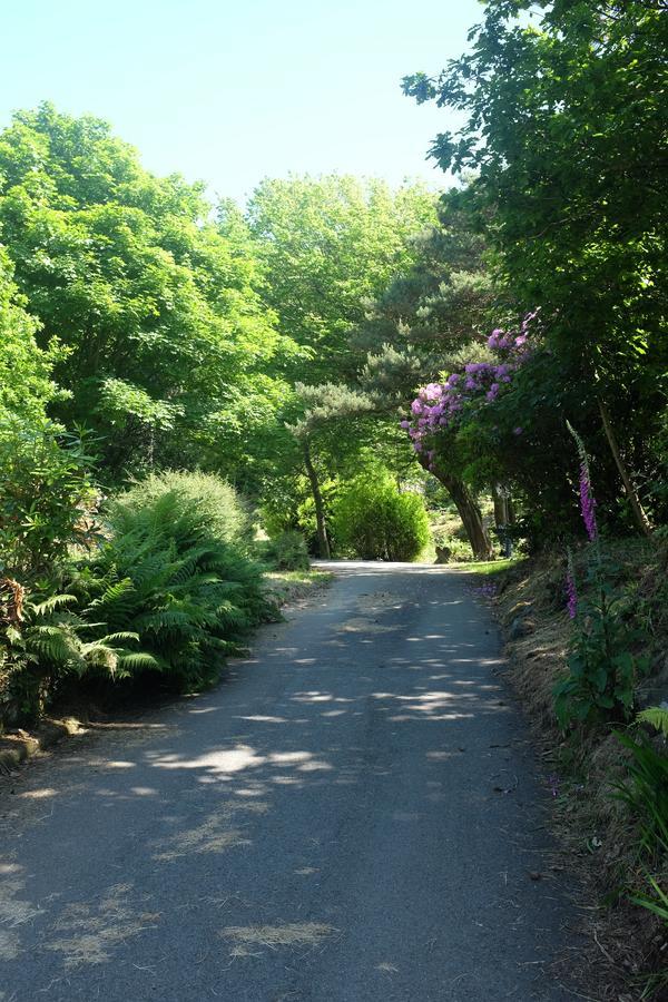 Crown Lodge Harlech Εξωτερικό φωτογραφία